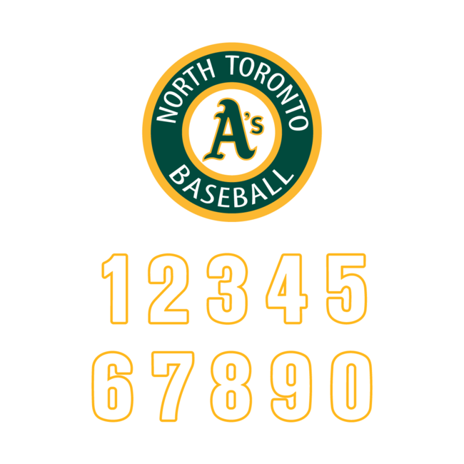 NTBA Helmet Sticker Kit