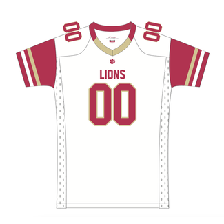 All Team Sports Lions Tribute Fan Jersey - Adult