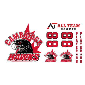 All Team Sports Hawks Player Sticker Kits