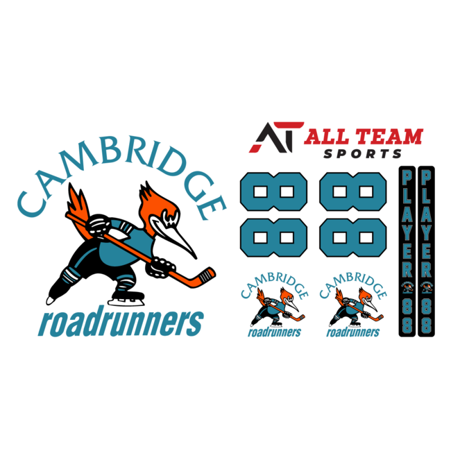 All Team Sports roadrunners Player Sticker Kits