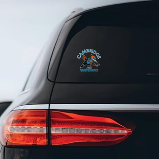 All Team Sports Roadrunner Car Decal