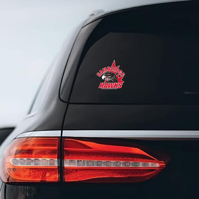 All Team Sports Hawks Car Decal