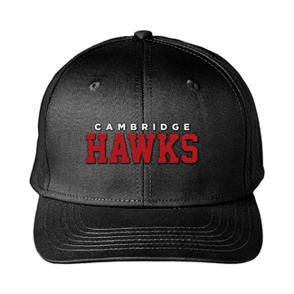 All Team Sports Hawks Smash Hat