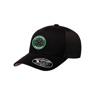 FLEXFIT Phellam Panthers Flexfit Snapback Hat - Black