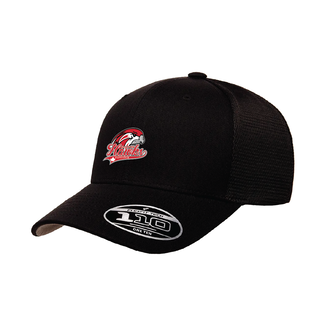 FLEXFIT Halton Hawks 110M Mesh Snapback
