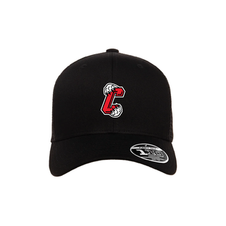 FLEXFIT Cougars Flexfit 110M Snapback Black