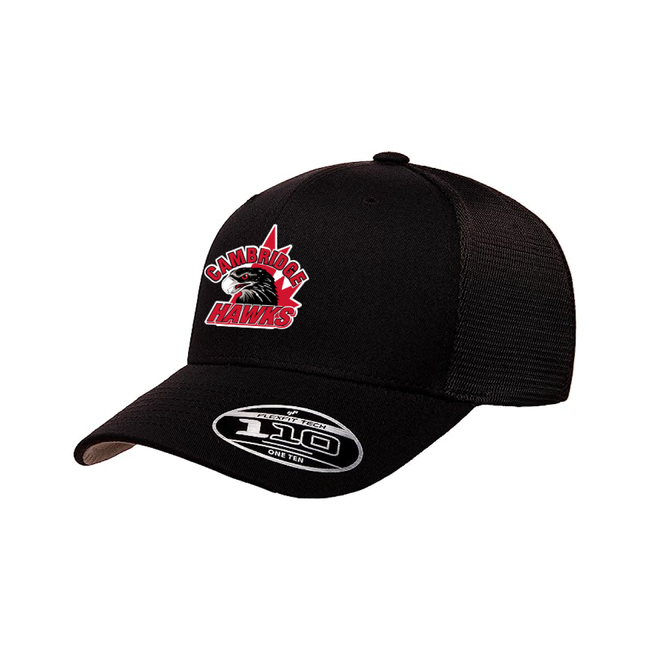 FLEXFIT Hawks Flexfit 110M Snapback Black