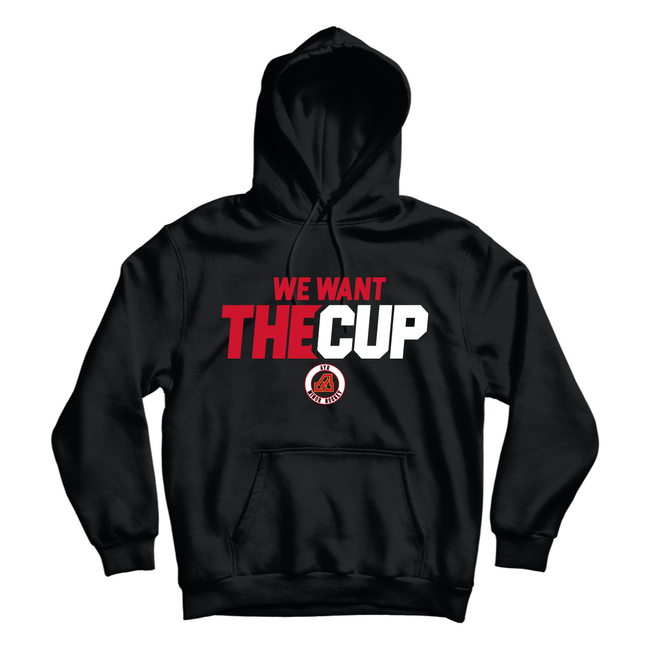 26 Ayr Flames Playoff Hoody  - Youth