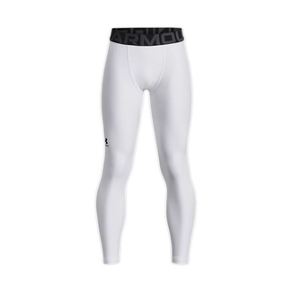 Under Armour Under Armour HeatGear Leggings Youth