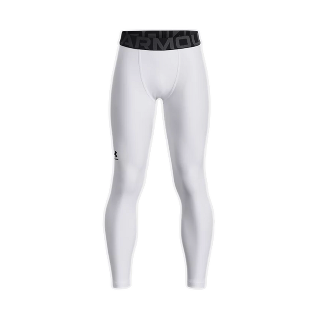 Under Armour HeatGear Leggings Youth