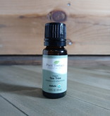 Plant Therapy Plant Therapy Organic Tea Tree Oil