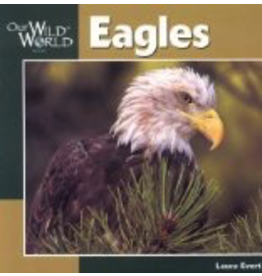 Todd Communications Our Wild World Eagles