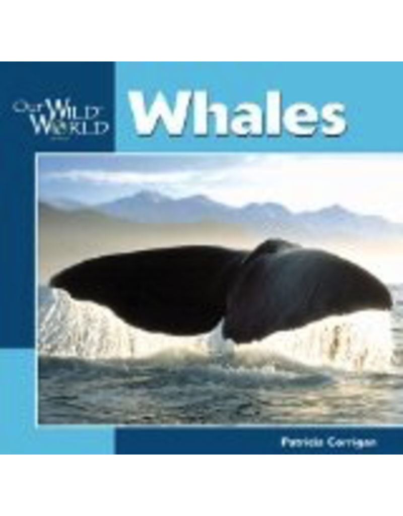 Todd Communications Our Wild World Whales