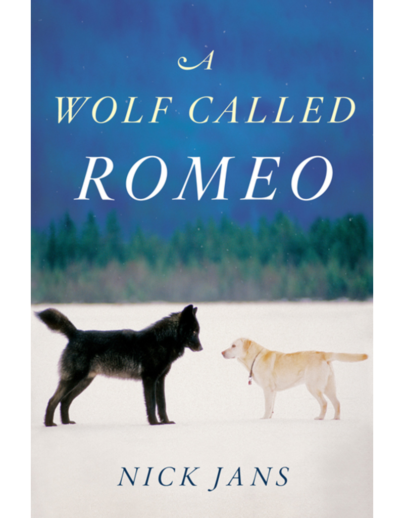 Ingram A Wolf Called Romeo - Jans, Nick