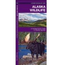 Todd Communications Alaska Wildlife: A Folding Pocket Guide to Familiar Species,(Pocket Naturalist Guide Series) - James Kavanagh