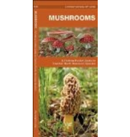 Todd Communications Alaska Mushrooms (pocket naturalist) - pckt natural