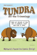 Todd Communications Tundra All the Trimmings