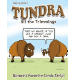 Todd Communications Tundra All the Trimmings