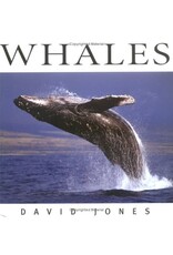 P R Dist. Whales  - David Jones