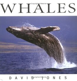 P R Dist. Whales  - David Jones