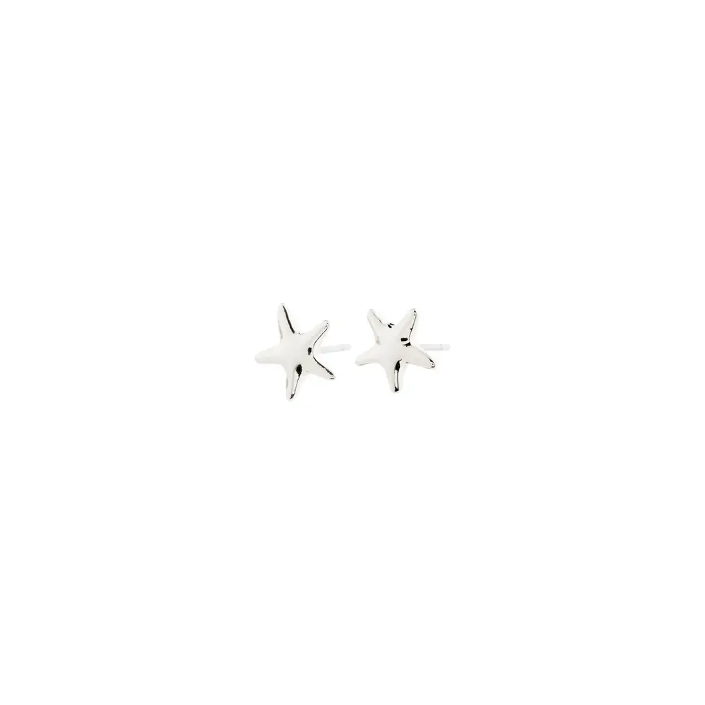 PILGRIM PILGRIM 262526003 ANDRE EARRINGS SILVER PLATED
