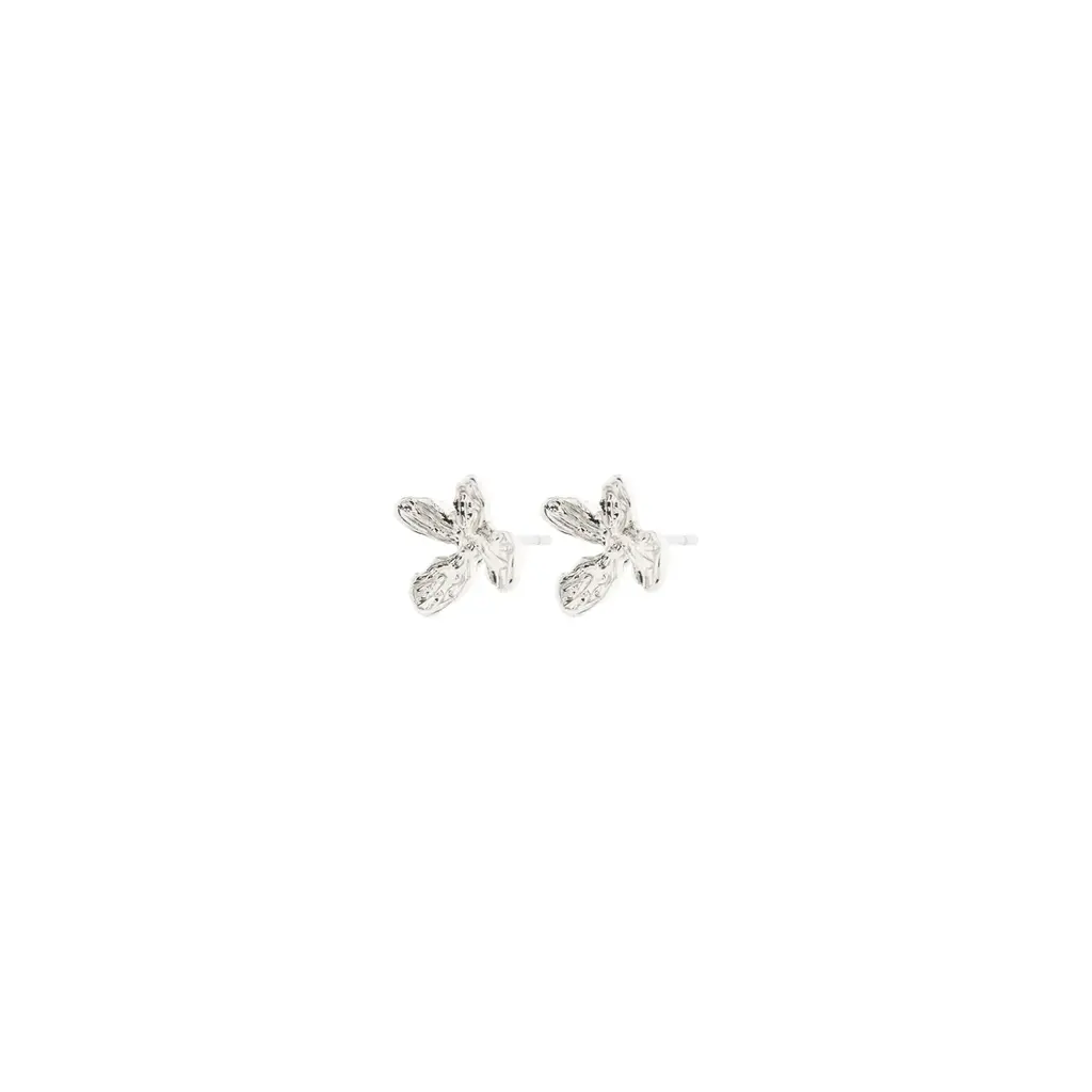 PILGRIM PILGRIM 262526013 AGLAIA EARRINGS SILVER PLATED