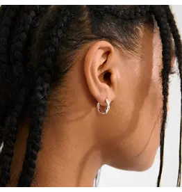 PILGRIM PILGRIM 632536003 DECLAN EARRINGS SILVER PLATED