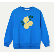 COMPANIA FANTASTICA COMPANIA FANTASTICA 26E 61C/42030 CHANDAIL CITRON BLEU