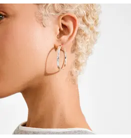 PILGRIM PILGRIM 132616023 EMBER EARRINGS SILVER PLATED