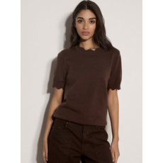 APRICOT APRICOT 26H HAUT MANCHE COURTE SCALLOP BRUN