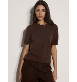 APRICOT APRICOT 26H HAUT MANCHE COURTE SCALLOP BRUN
