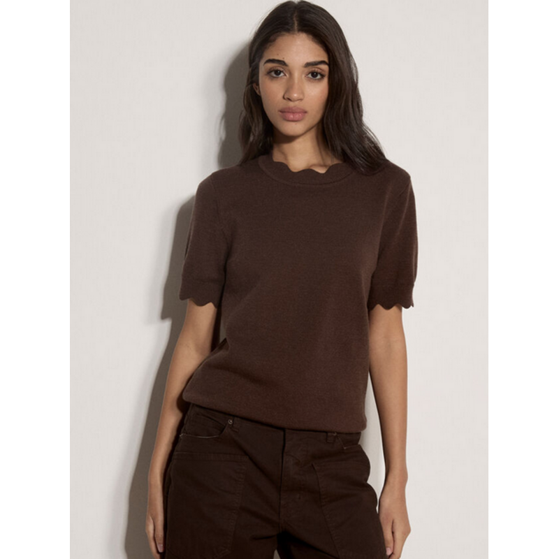 APRICOT APRICOT 26H HAUT MANCHE COURTE SCALLOP BRUN