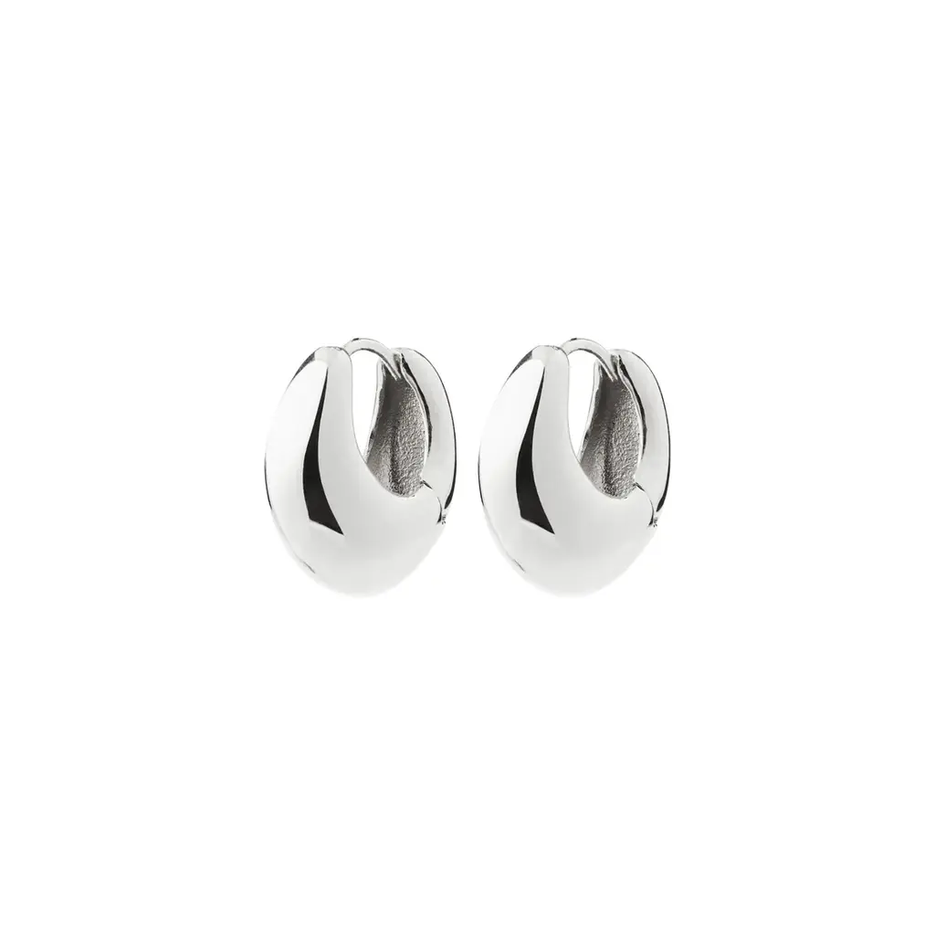 PILGRIM PILGRIM 262636053 KAIROA EARRINGS SILVER PLATED