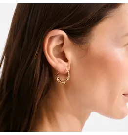 PILGRIM PILGRIM 132632003 HERE HOOP EARRINGS GOLD PLATED