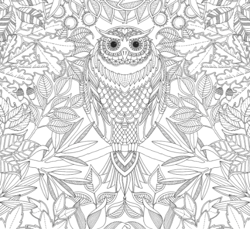 secret garden coloring pages owl cartoon