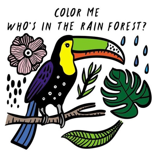 HACHETTE MUDPUPPY Color Me: Who's In The Rainforest