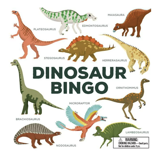 Hachette Mudpuppy Dinosaur Bingo