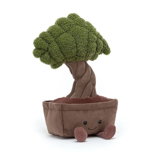 Meet: Our Bonsai Starter Kit 