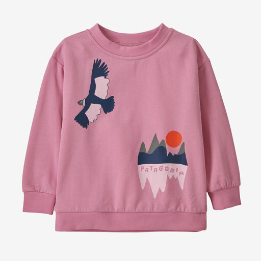 PATAGONIA Baby Lightweight Crew Sweatshirt - Condor Peaks