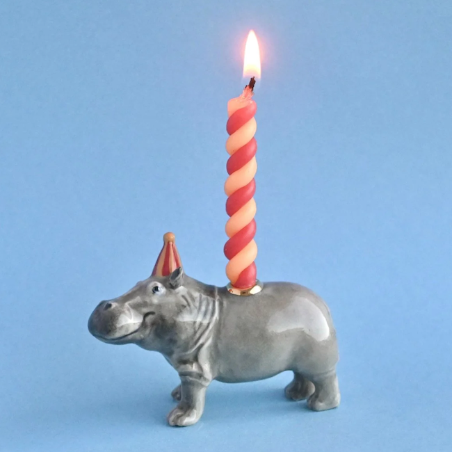 Camp Hollow Hippo Cake Topper