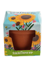 Buzzy Seeds Kids Mini Grow Pot - Sunflower