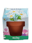 Buzzy Seeds Kids Mini Grow Pot - Daisy