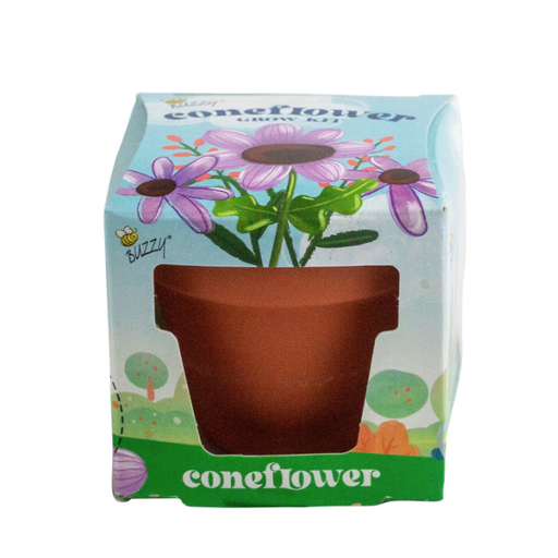 Buzzy Seeds Kids Mini Grow Pot - Coneflower