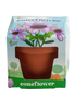 Buzzy Seeds Kids Mini Grow Pot - Coneflower