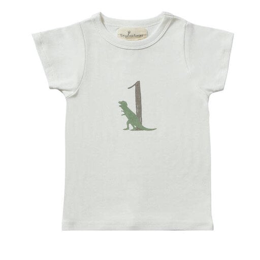 TINY VICTORIES Dinosaur Birthday Short Sleeve T-Shirt