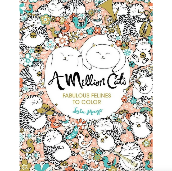 Union Square & Co A Million Cats Coloring Book