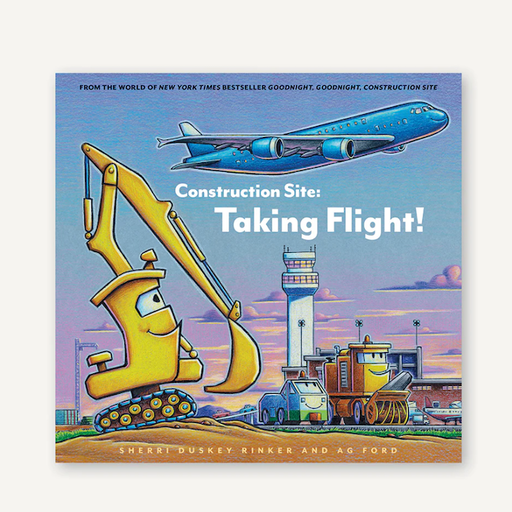 Chronicle Books Construction Site: Taking Flight!