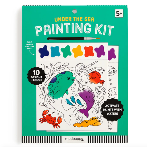 Chronicle Books Painting Kits