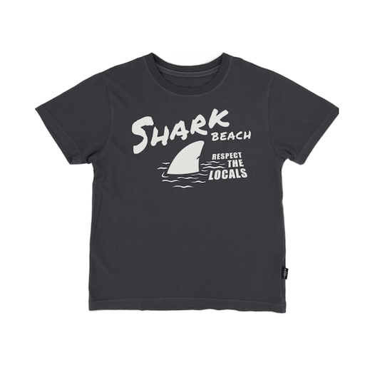 Feather 4 Arrow Vintage Tee