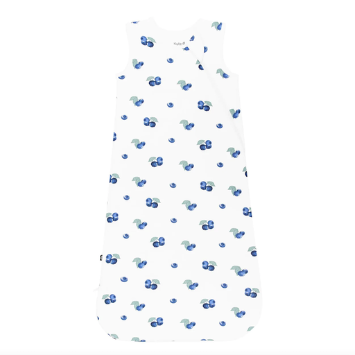 Kyte Baby Sleep Bag 1.0